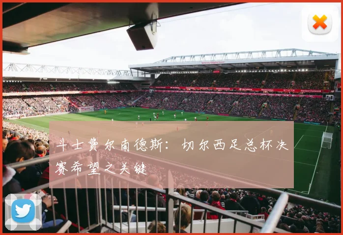 斗士费尔南德斯：切尔西足总杯决赛希望之关键