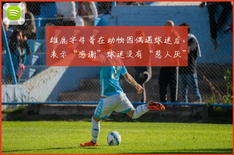 雄鹿字母哥在动物园偶遇球迷后，表示“感谢”球迷没有“惹人厌”
