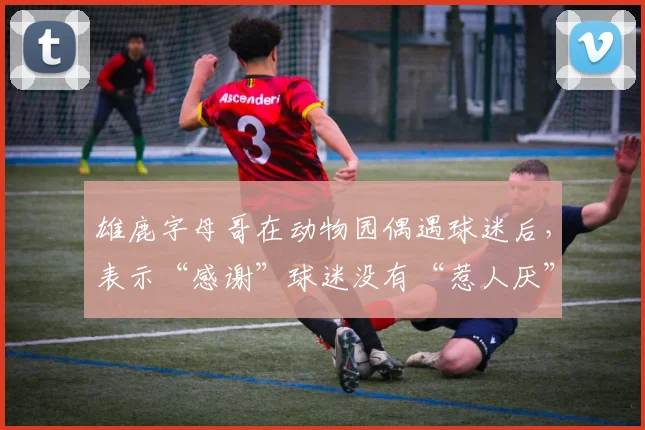雄鹿字母哥在动物园偶遇球迷后，表示“感谢”球迷没有“惹人厌”