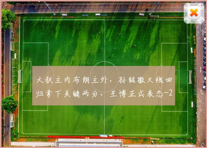 大秋主内布朗主外，孙铭徽火线回归拿下关键两分，王博正式表态