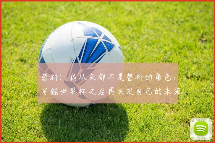 哲科：我从来都不是替补的角色，可能世界杯之后再决定自己的未来